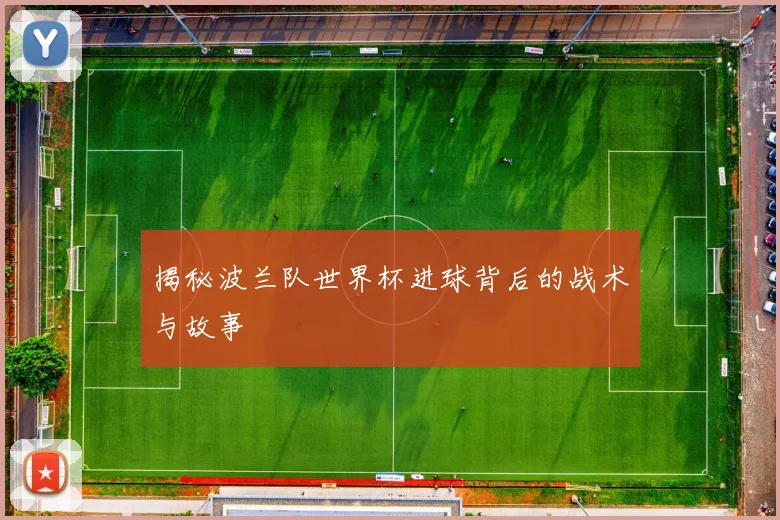 揭秘波兰队世界杯进球背后的战术与故事
