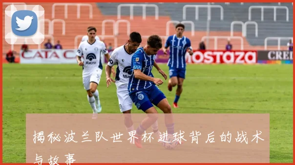 揭秘波兰队世界杯进球背后的战术与故事